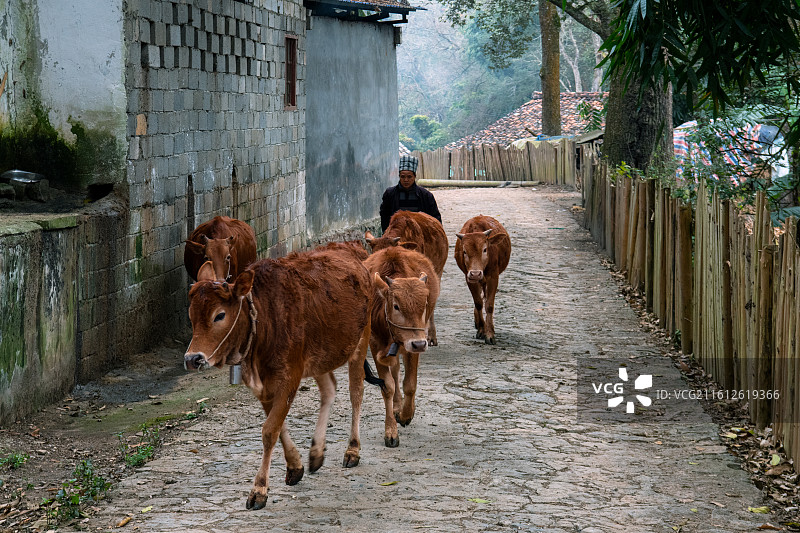 云南文山城寨图片素材