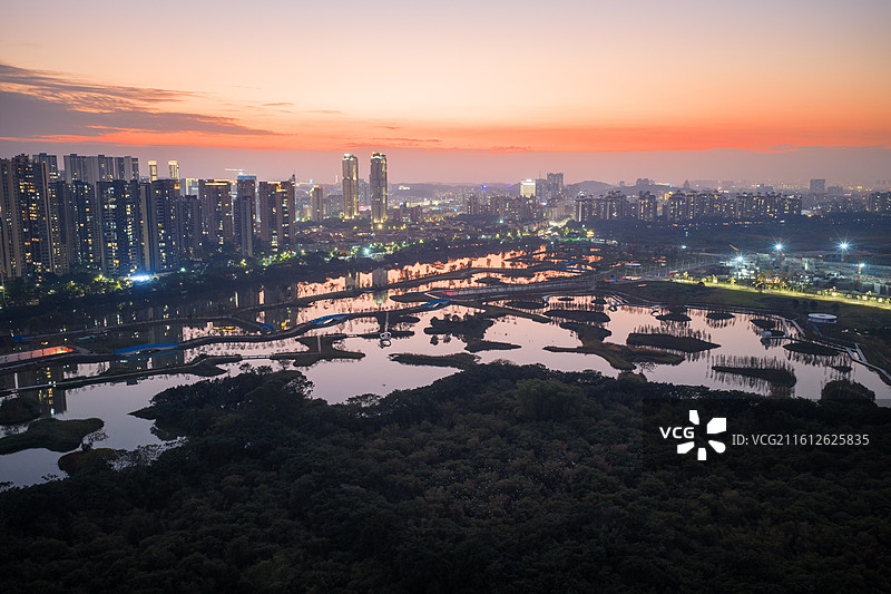 佛山市顺德区大良云鹭片区、云鹭湿地公园、鹭鸟天堂、顺德鹭鸟园、大良东区新城、大良东区图片素材