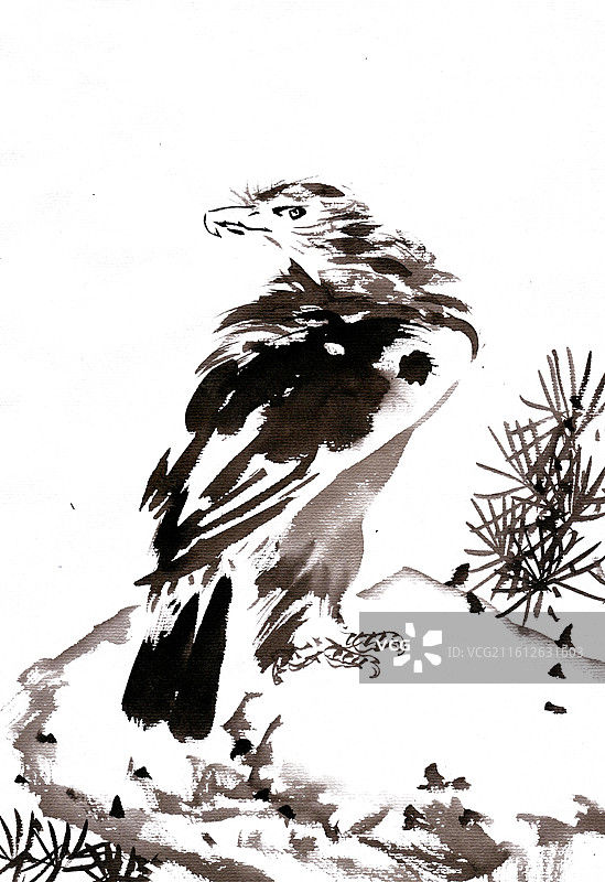 岩石上的鹰图片素材