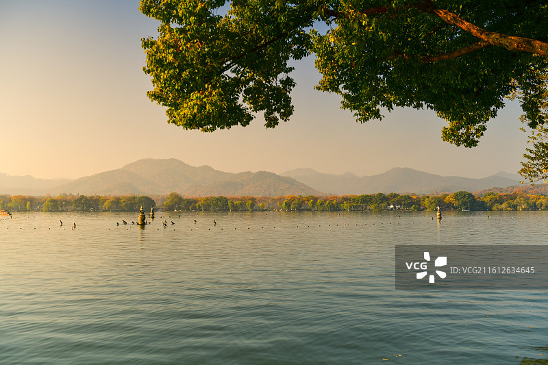 西子湖心 三潭映月图片素材