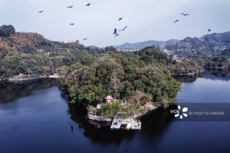 镜湖飞鸟图片素材