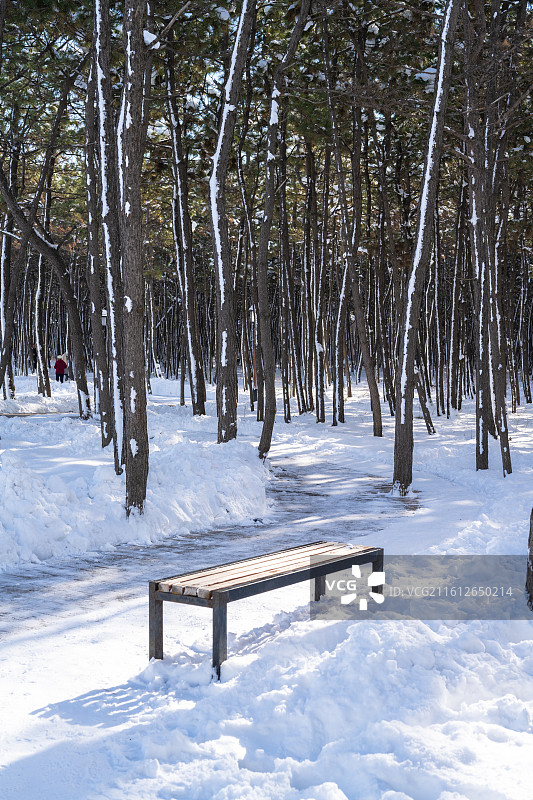 暴雪后的滨海城市图片素材