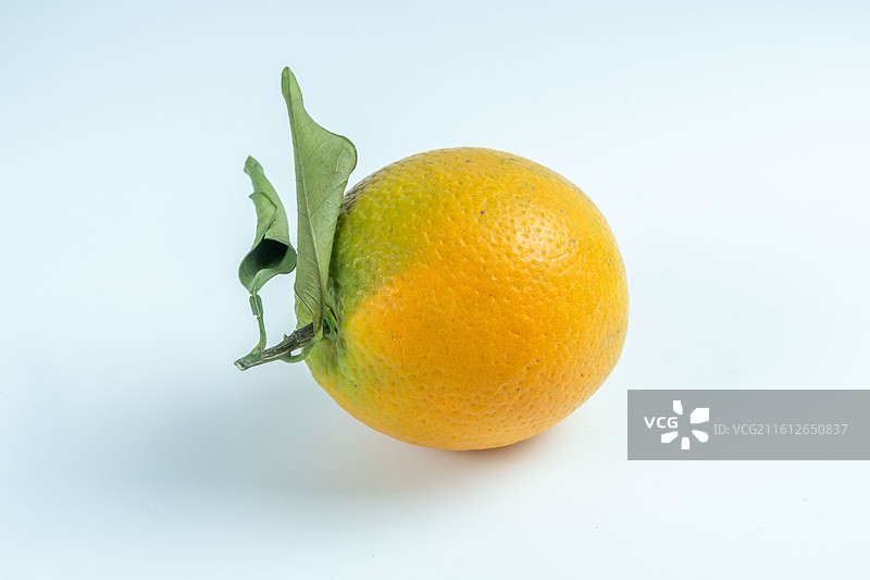 水果静物摄影——橙子图片素材