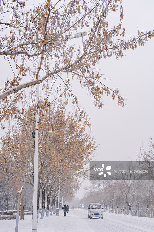 哈尔滨·太阳岛图片素材
