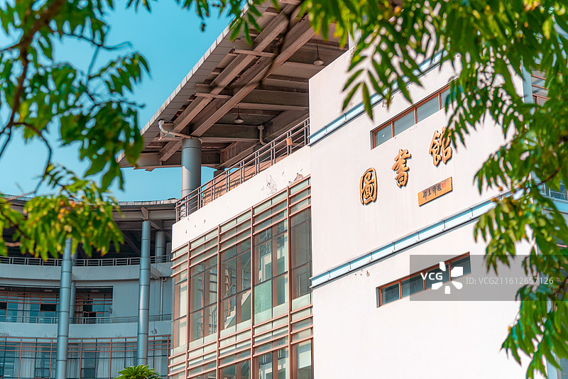 浙农林的夏图片素材