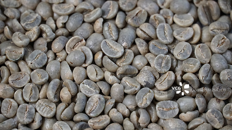 牙买加蓝山咖啡 咖啡生豆图片素材
