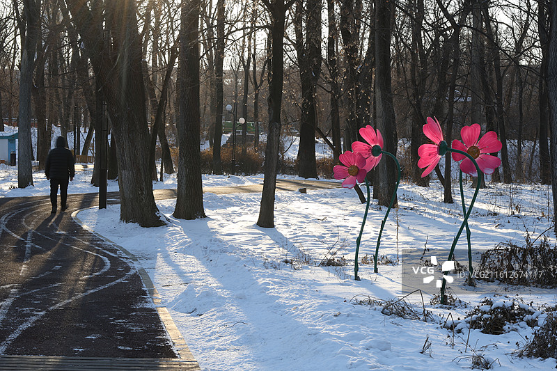 吉林市，温德游园，冬季，松花江，雪景，冰河，落日，夕阳植物，鬼针草，干枯的酸模，图片素材