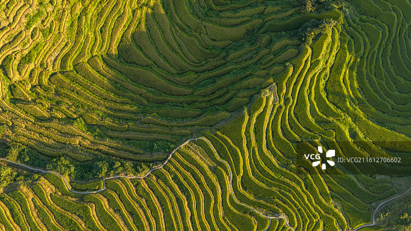 航拍梯田秋景图片素材