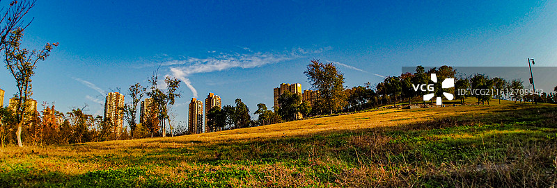 合肥植物园秋色图片素材