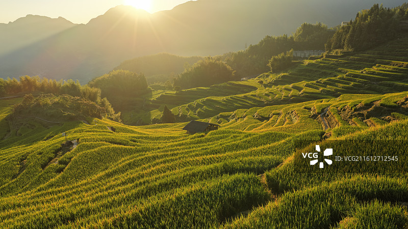 梯田日出图片素材