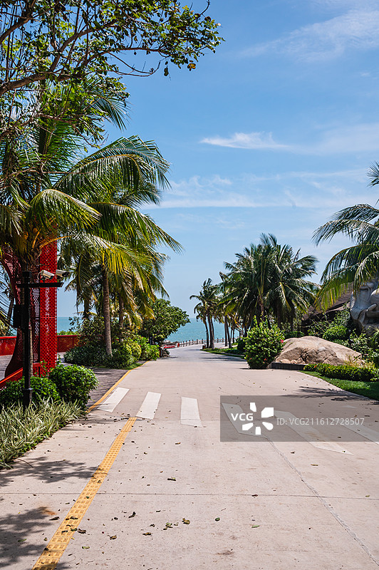 三亚大小洞天景区内干净整洁的椰林林荫大道图片素材
