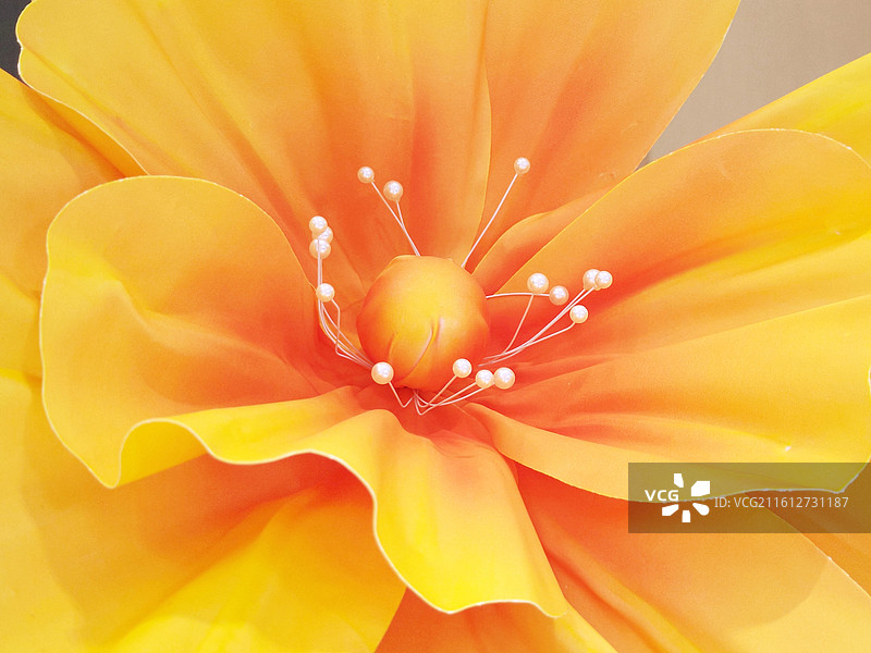 橘焰·绢花芯语图片素材