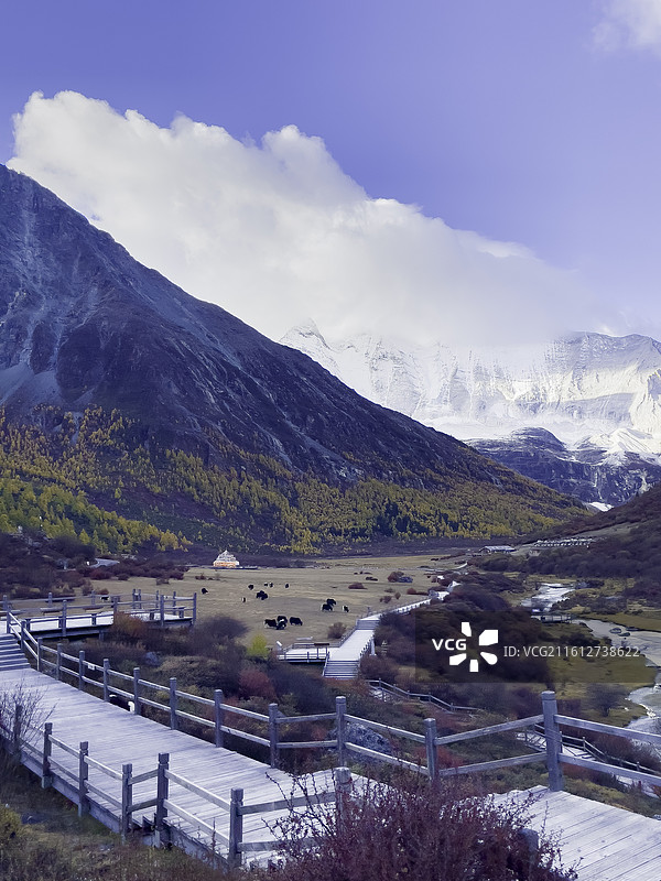 稻城三神山之一：央迈勇，藏语意为“文殊菩萨” 雪山，彩林，洛绒牛场图片素材