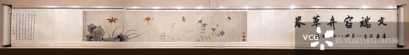 明 文俶 写生花蝶图卷 上海博物馆图片素材