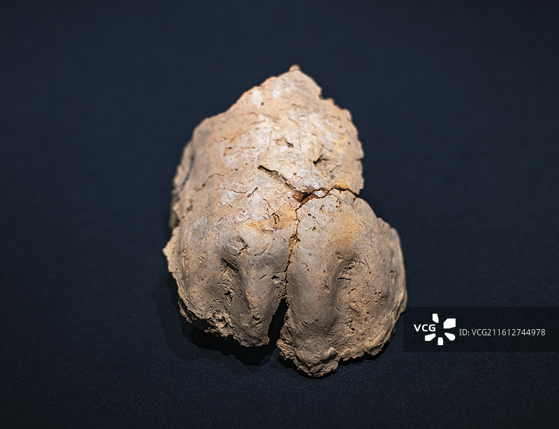 泥塑熊爪残件 红山文化 辽宁凌源牛河梁遗址第一地点“女神庙”出土 辽宁省文物考古研究院图片素材