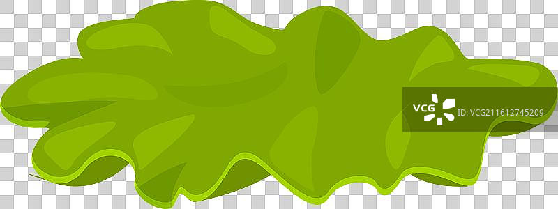 新鲜的绿色生菜叶子漂浮着图片素材