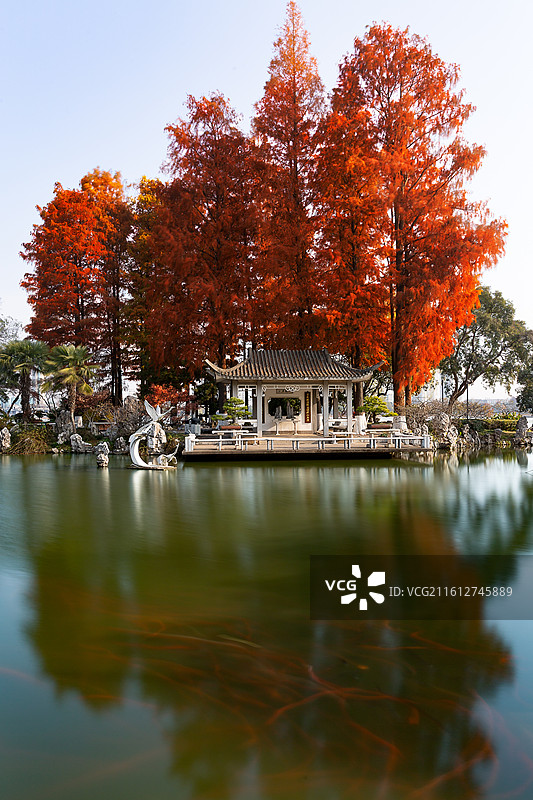 南京玄武湖的秋色 4图片素材