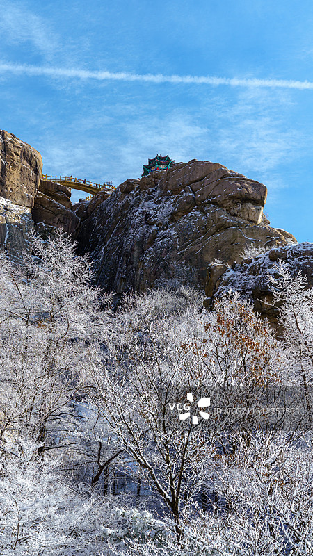 雪后天晴，崂山巨峰景区出现雾凇景观图片素材