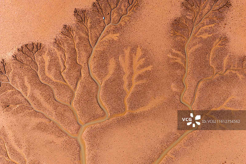 航拍盘锦红海滩上的”潮汐树“纹理自然图案图片素材