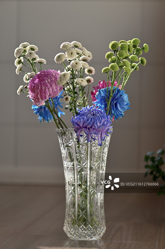 花瓶中的牡丹菊与雏菊图片素材