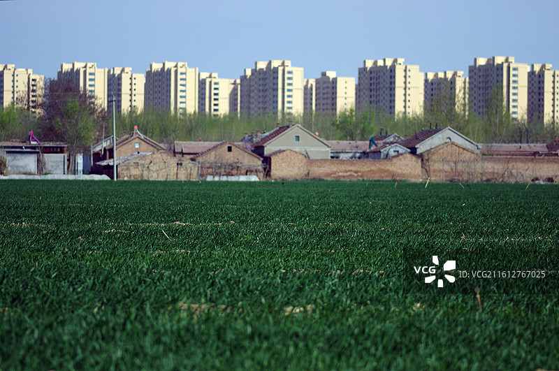 城市建筑与农房和麦田图片素材