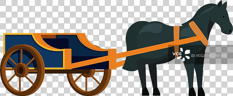 一匹黑马静止站立，套着木马具图片素材