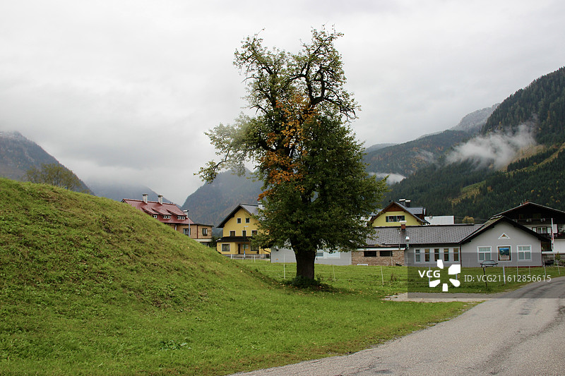 奥地利戈绍小镇绿色田园自然风景图片素材