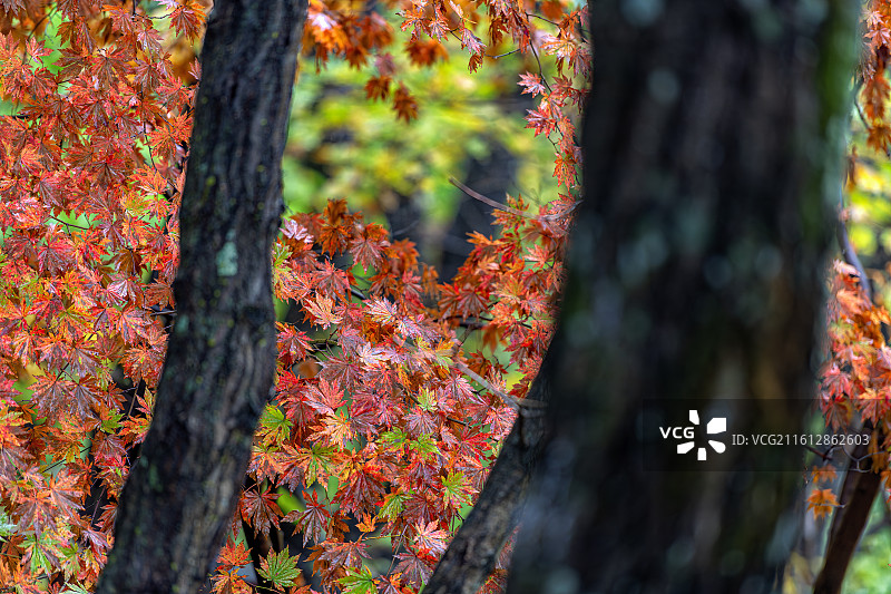 本溪五女山图片素材