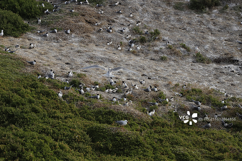 澳洲自然风光图片素材