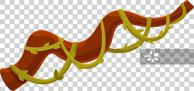 藤蔓缠绕的热带爬行植物枝条图片素材
