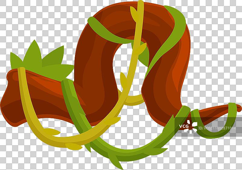 藤蔓在树枝上生长缠绕图片素材