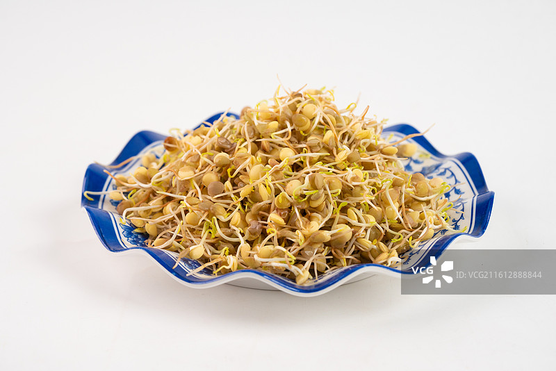 扁豆豆芽图片素材