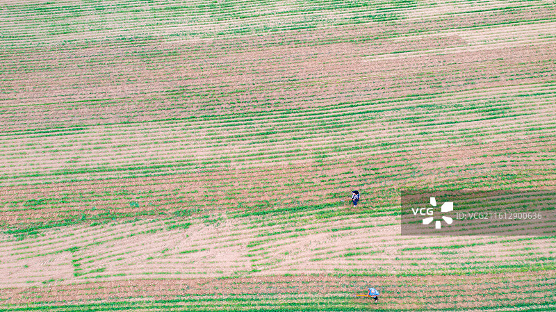 农村土地耕种、乡村田园风光图片素材