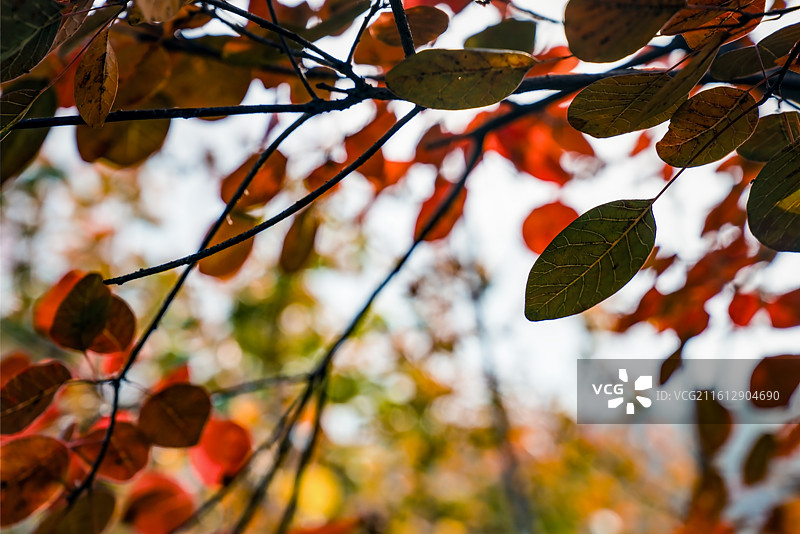 北京坡峰岭图片素材