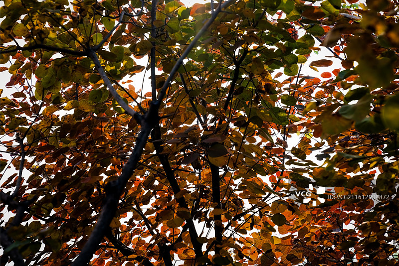 北京坡峰岭图片素材