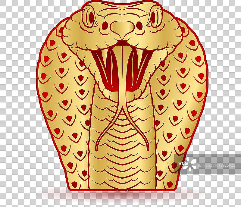 金色的中国生肖蛇，孤立的图片素材