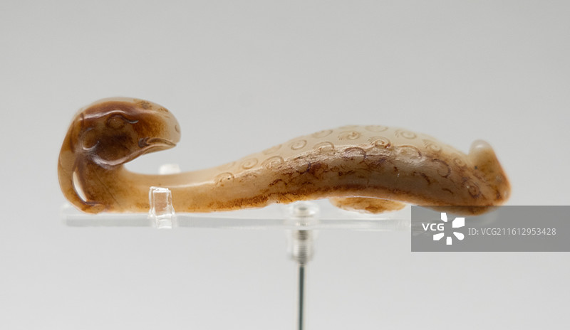 上海博物馆犀角杯特展图片素材