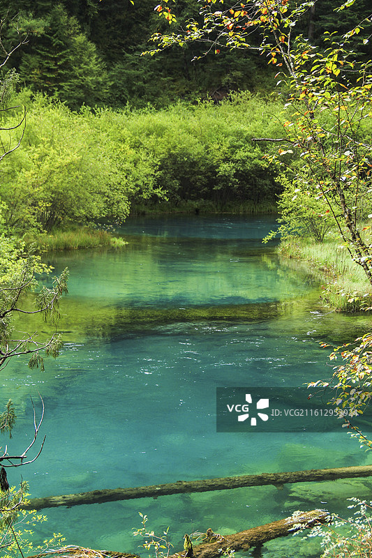 九寨沟五彩湖泊风光图片素材