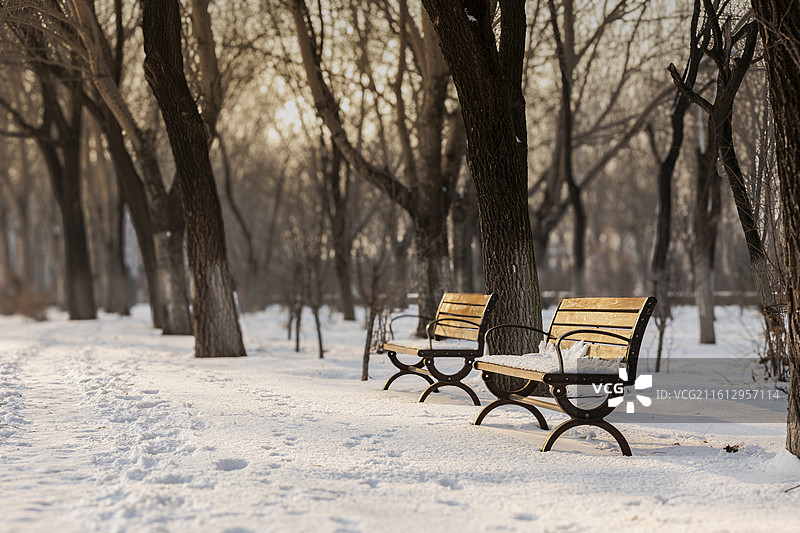 雪地中的长椅图片素材