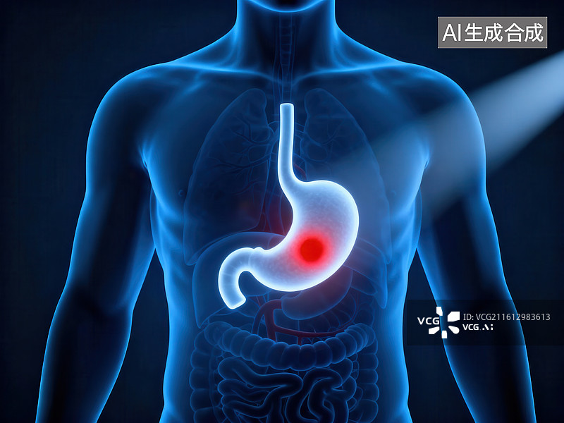 【AI数字艺术】人体消化系统胃部示意图图片素材