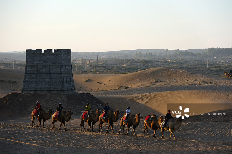内蒙古阿拉善左旗腾格里沙漠通湖草原晚归的驼队图片素材