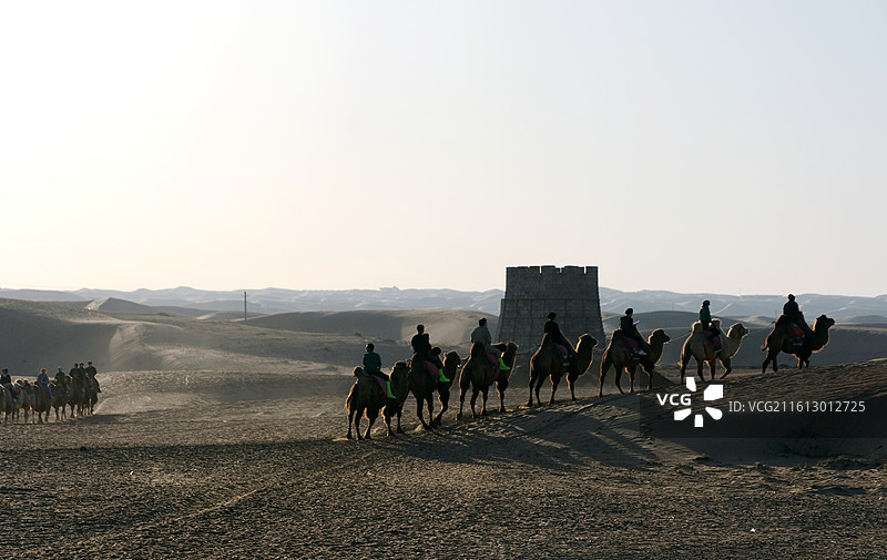 内蒙古阿拉善左旗腾格里沙漠通湖草原晚归的驼队图片素材