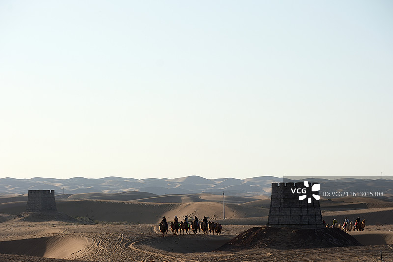 内蒙古阿拉善左旗腾格里沙漠通湖草原晚归的驼队图片素材