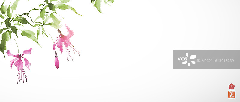 粉色倒挂金钟的极简主义绘画图片素材