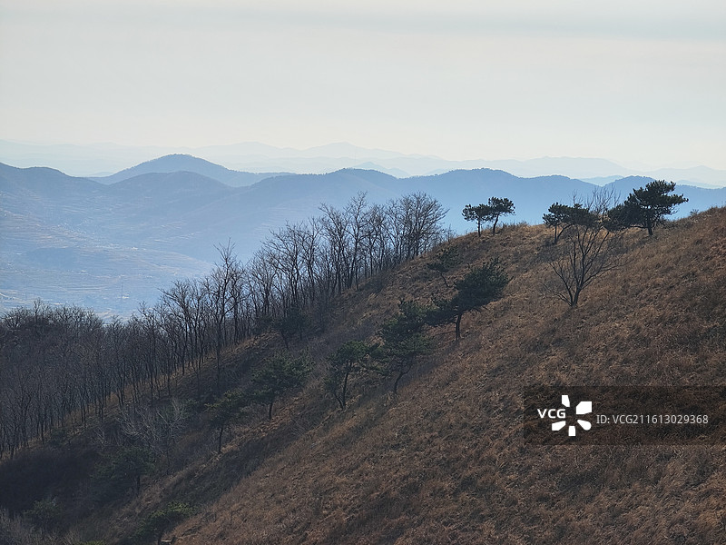 冬天元旦，莒县梁甫山山脊最美风景线图片素材