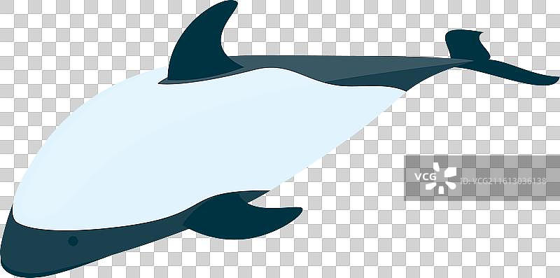 3d等距平面图集，展示各种海豚类型图片素材