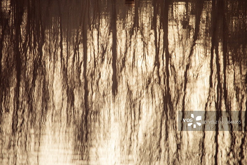 倒影 水波纹 桥梁 树影 光影 意境 贾鲁河图片素材