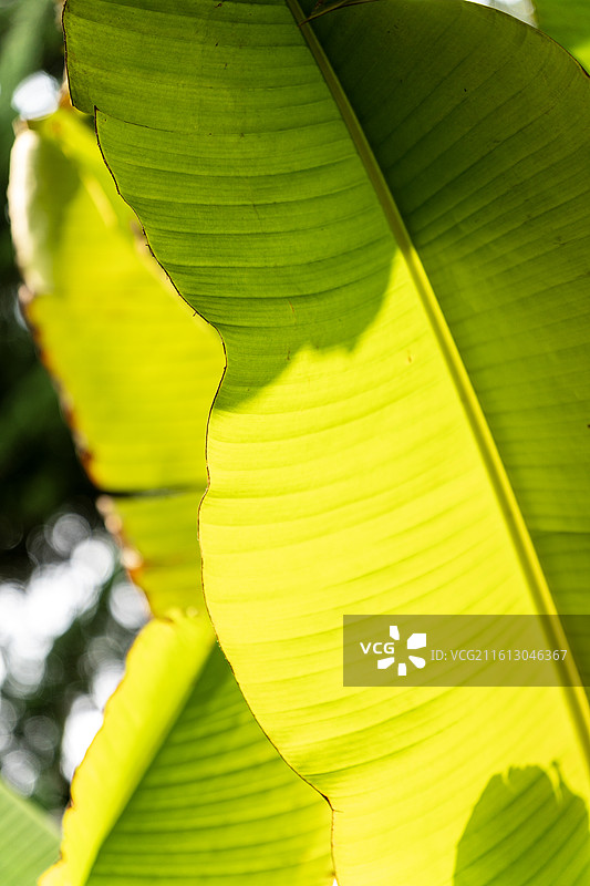 镇江北固山风景区图片素材