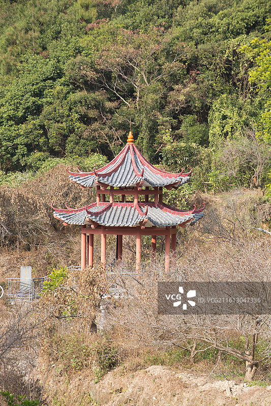 汕尾市陆河县东坑镇共光梅园风光图片素材