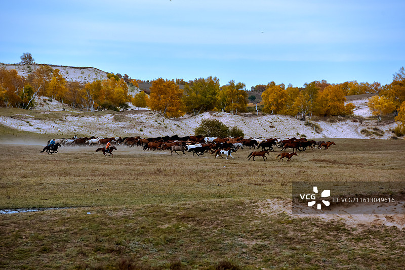 乌兰布统的秋日图片素材